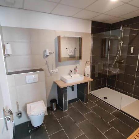 Goldene Traube Отель 3*