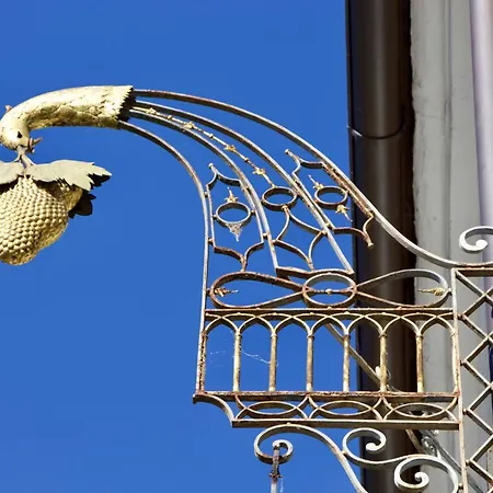 Goldene Traube Hotell 3*