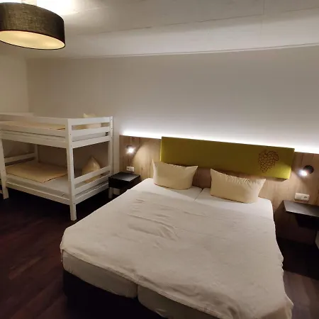 Hotel Goldene Traube Hotel Guenzburg