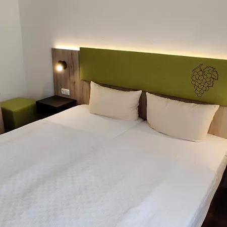 Hotel Goldene Traube Guenzburg