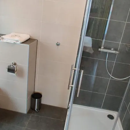 Hotel Goldene Traube Hotel 3*
