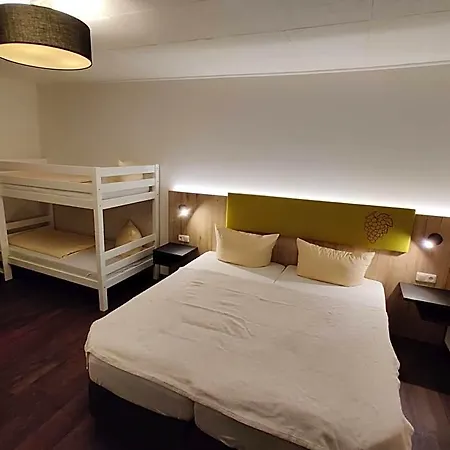 Hotel Hotel Goldene Traube 3*