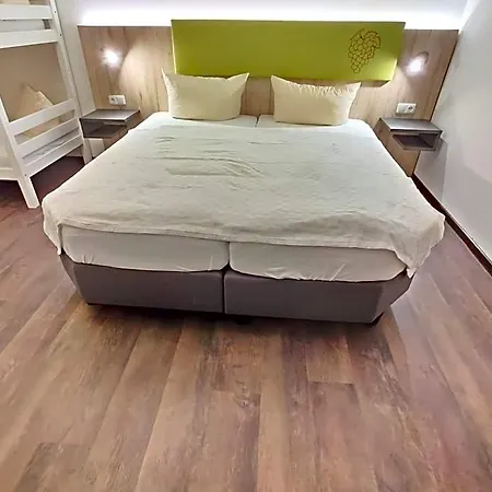 Hotel Hotel Goldene Traube Guenzburg
