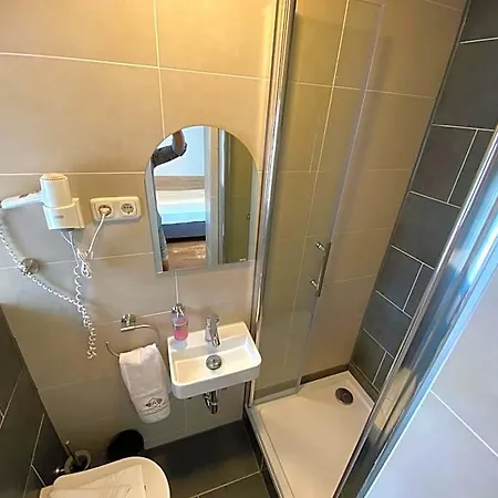 Hotel Hotel Goldene Traube 3*