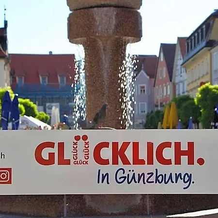 Hotel Hotel Goldene Traube Guenzburg