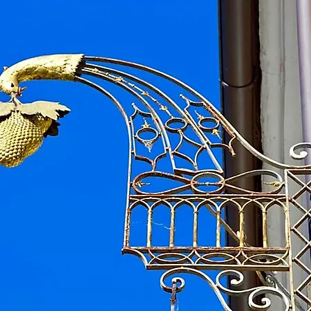 Hotel Hotel Goldene Traube 3*