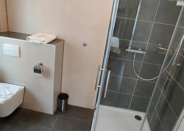 Goldene Traube Hotel 3*