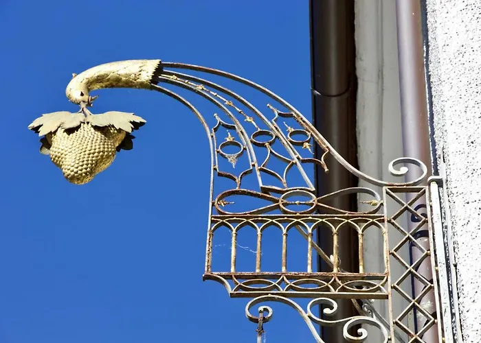 Hotel Goldene Traube Günzburg